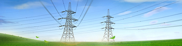 Henan Senyuan Electric Co., Ltd.