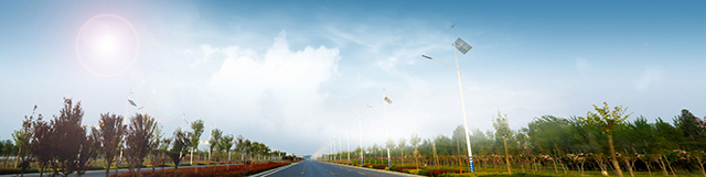 Henan Senyuan Electric Co., Ltd.
